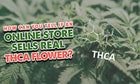 Gastbeitrag von Dr. Ganja: Woran erkennt man, ob ein Online-Shop echte THCA-Blüten verkauft?